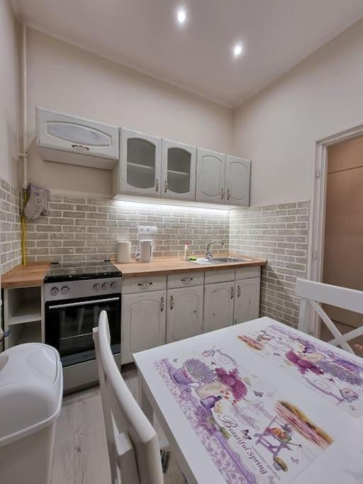 Vintage Apartman In City Center Мишкольц Экстерьер фото