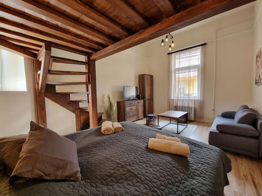 Vintage Apartman In City Center Мишкольц Экстерьер фото