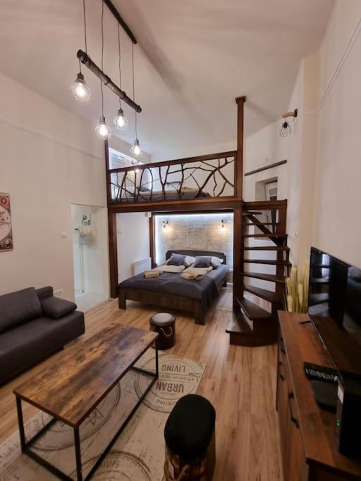Vintage Apartman In City Center Мишкольц Экстерьер фото
